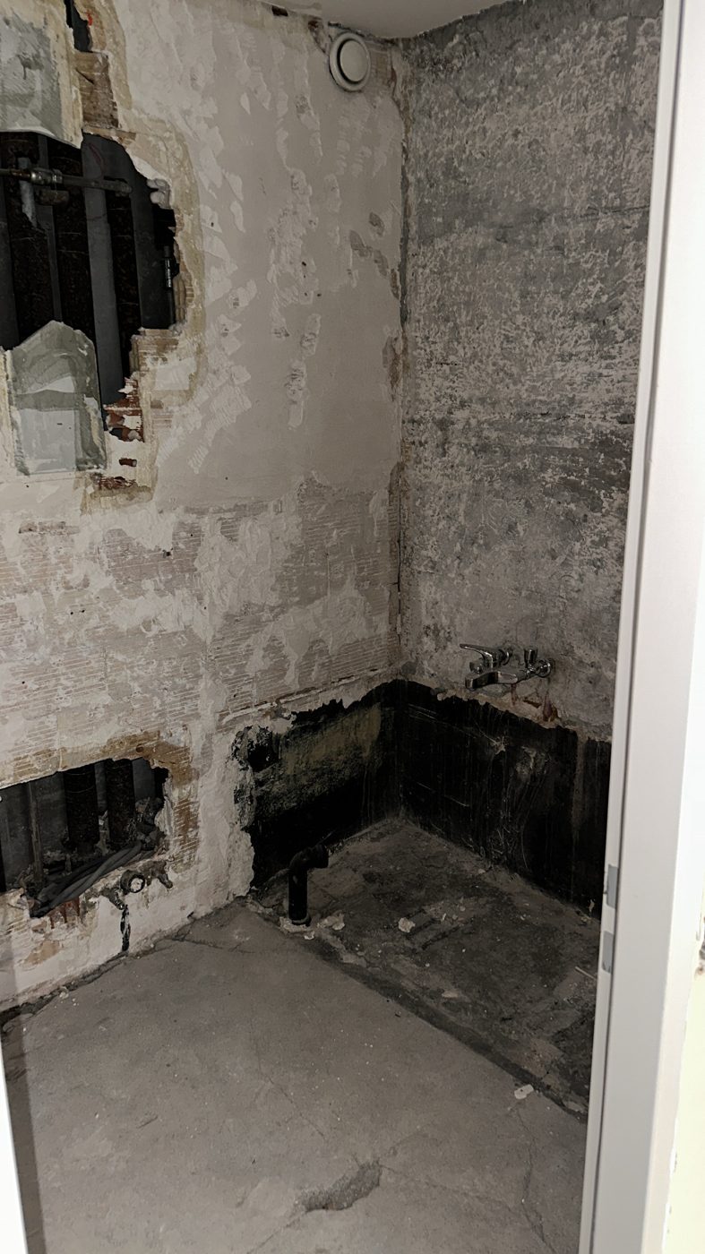 Rénovation d'un appartement complet — Frontenex, Genève